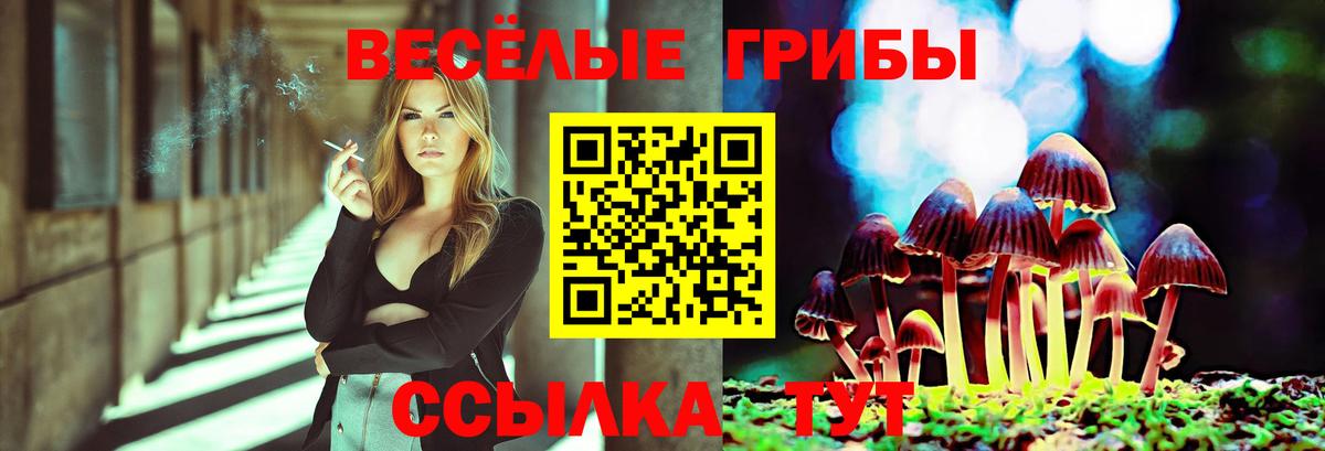 Кондопога  Псилоцибиновые грибы Psilocybine cubensis  Галлюциногенные грибы прущие грибы  даркнет сайт  Вход с VPN 